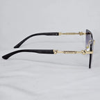Cartier Midnight Panther